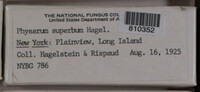 Image Associated With the Occurence